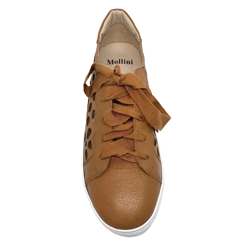 Caisey Sneakers
