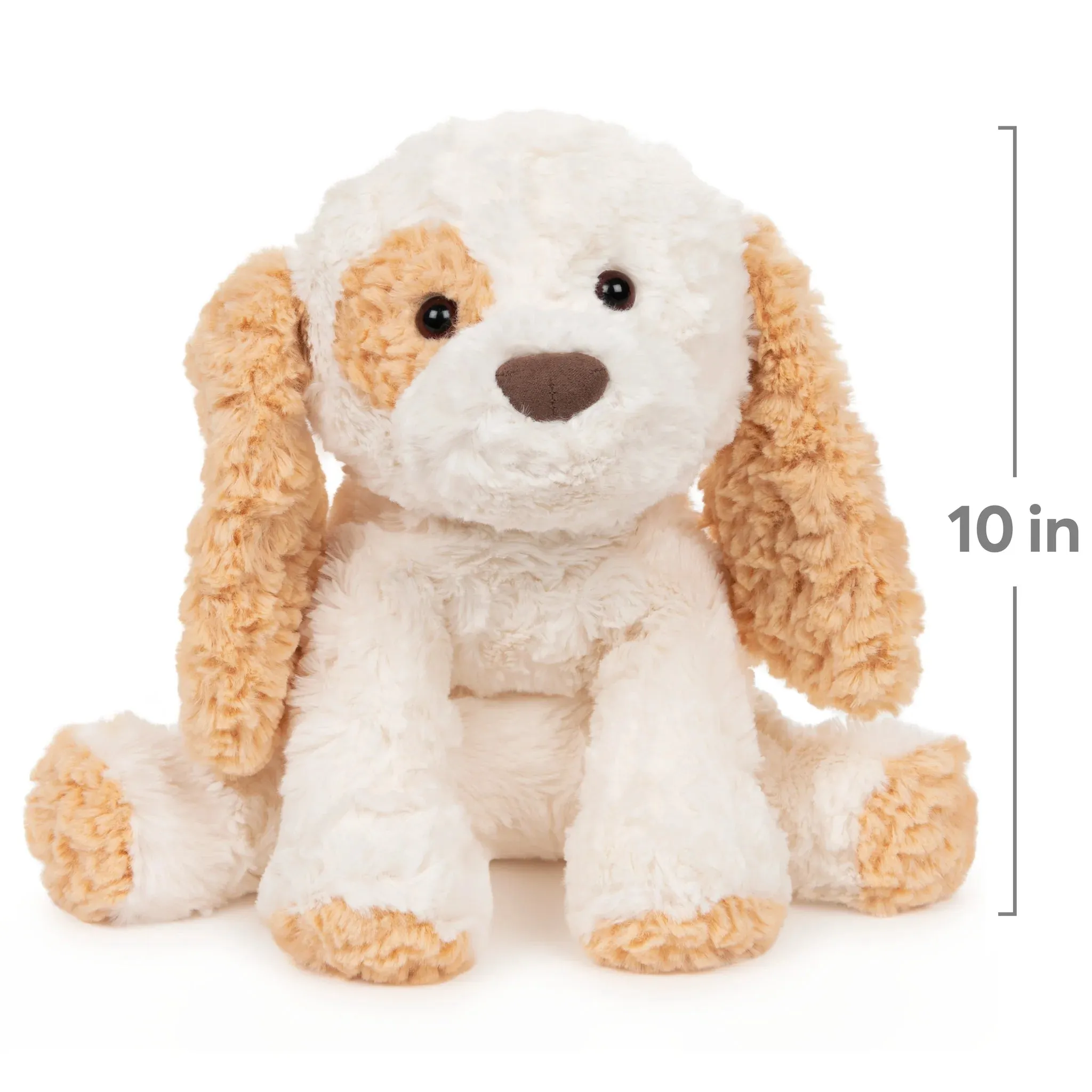 Cozys- Puppy
