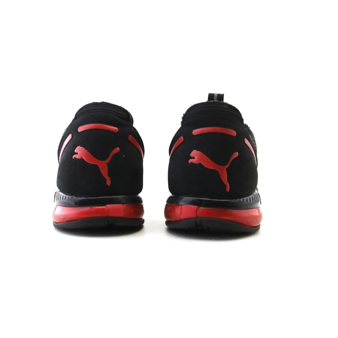 PUMA CELL DIVIDE