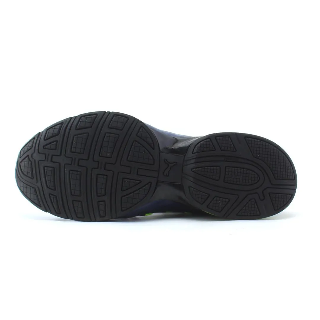 PUMA CELL REGULATEQ